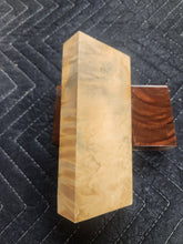 Horse Chestnut Curly Knife Scale