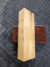 Horse Chestnut Curly Knife Scale