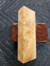 Horse Chestnut Curly Knife Scale