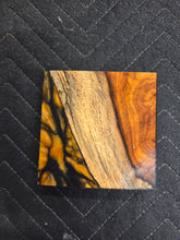 Indian Rosewood Turkey Pot Hybrid