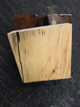 Hybrid Horse Chestnut Turkey Pot