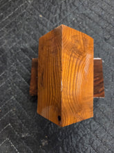 Russian Olive Hybrid