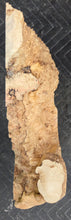 Box Elder Burl Slab