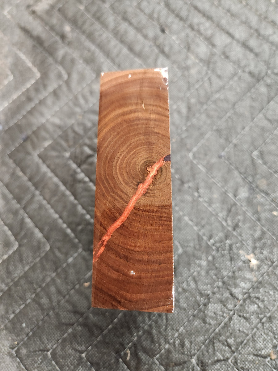 Hybrid Black Walnut Turkey Pot