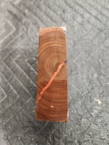 Hybrid Black Walnut Turkey Pot