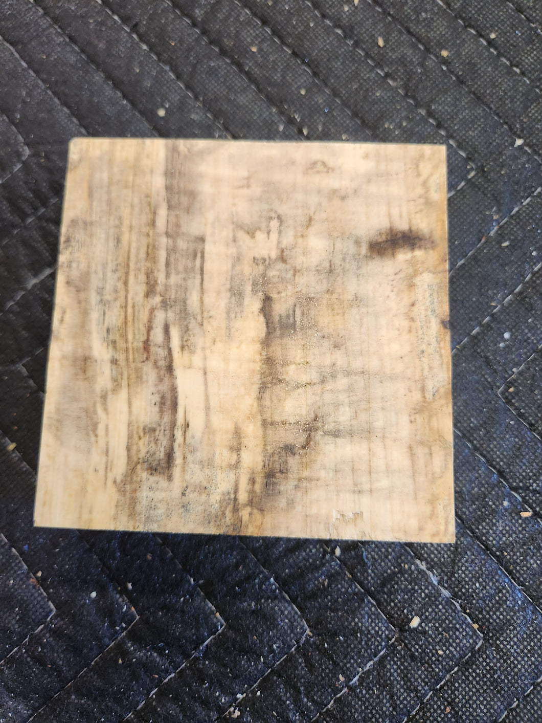 Horse Chestnut Turkey Pot Call
