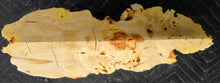 Box Elder Burl Cap