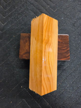 Apricot