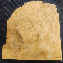 Box Elder Burl Slab