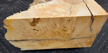 Box Elder Burl Cap