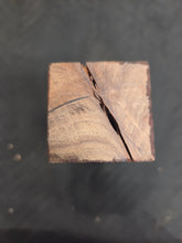Acacia