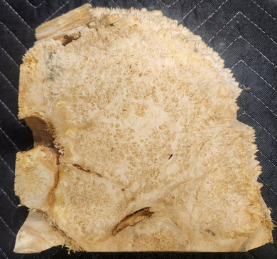 Box Elder Burl Slab