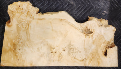Box Elder Burl Slab