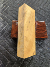 Horse Chestnut Knife Scale