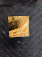Box Elder Bottlestopper Hybrid