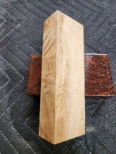 Horse Chestnut Curly Knife Scale
