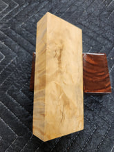 Horse Chestnut Curly Knife Scale