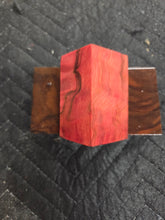 Stabilized Horse Chestnut Bottlestopper