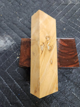 Horse Chestnut Knife Scale