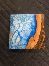 Bocote Turkey Pot Hybrid