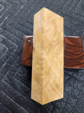 Horse Chestnut Curly Knife Scale