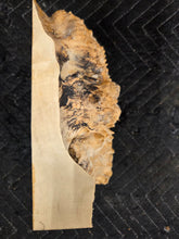 Box Elder Burl Cap