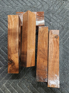 Black walnut