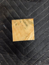 Box Elder Bottlestopper Hybrid