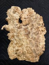 Box Elder Burl Cap