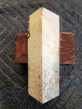 Box elder Burl