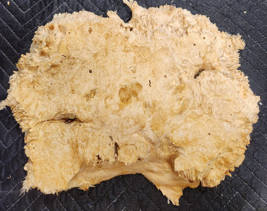 Box Elder Burl Slab