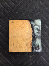 Box Elder Turkey Pot Hybrid