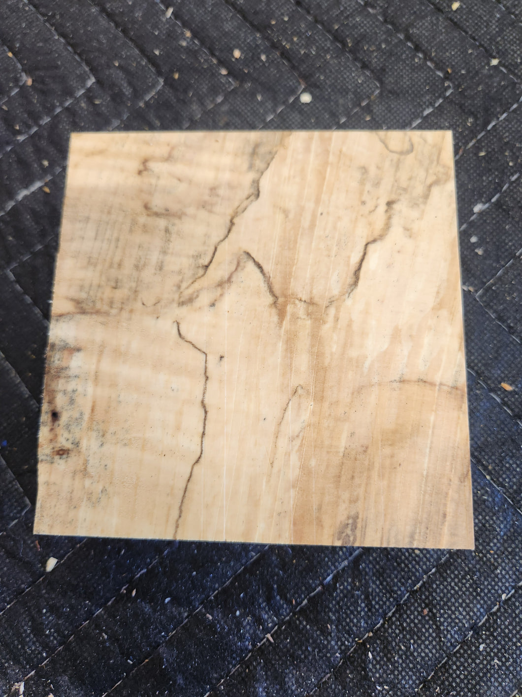 Horse Chestnut Turkey Pot Call