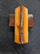Apricot