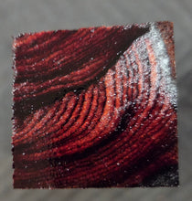 Cocobolo