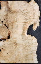 Box Elder Burl Slab