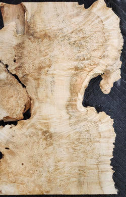 Box Elder Burl Slab