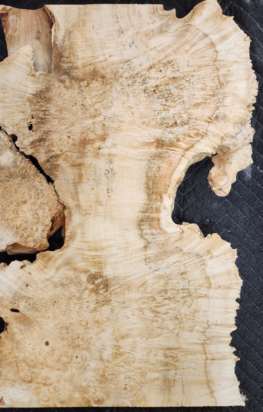Box Elder Burl Slab