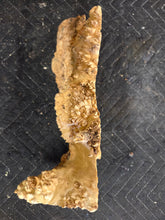 Box Elder Burl Cap