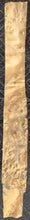 Box Elder Burl Slab