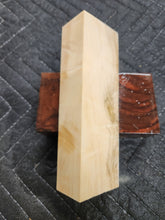 Horse Chestnut Curly Knife Scale