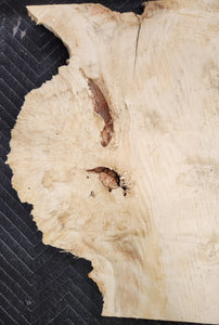 Box Elder Burl Slab