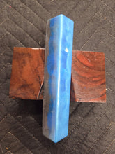 Shark Vertebrae