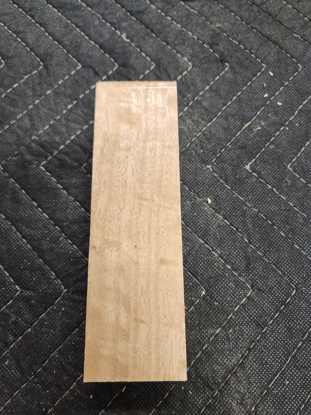 Eucalyptus Knife Scale
