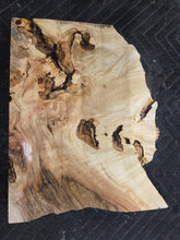 Box Elder Burl Slab