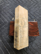 Horse Chestnut Curly Knife Scale