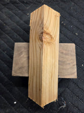 Himalayan Cedar