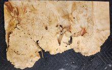 Box Elder Burl Slab