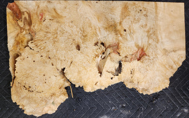 Box Elder Burl Slab