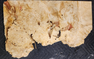 Box Elder Burl Slab